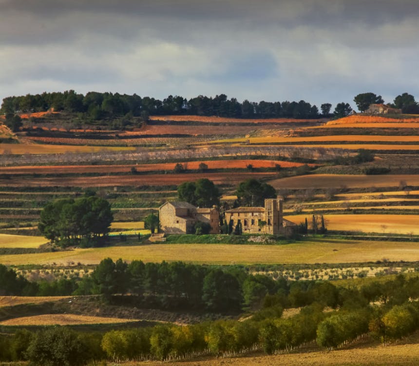 Waarom Spanje het droomland voor biowijn is