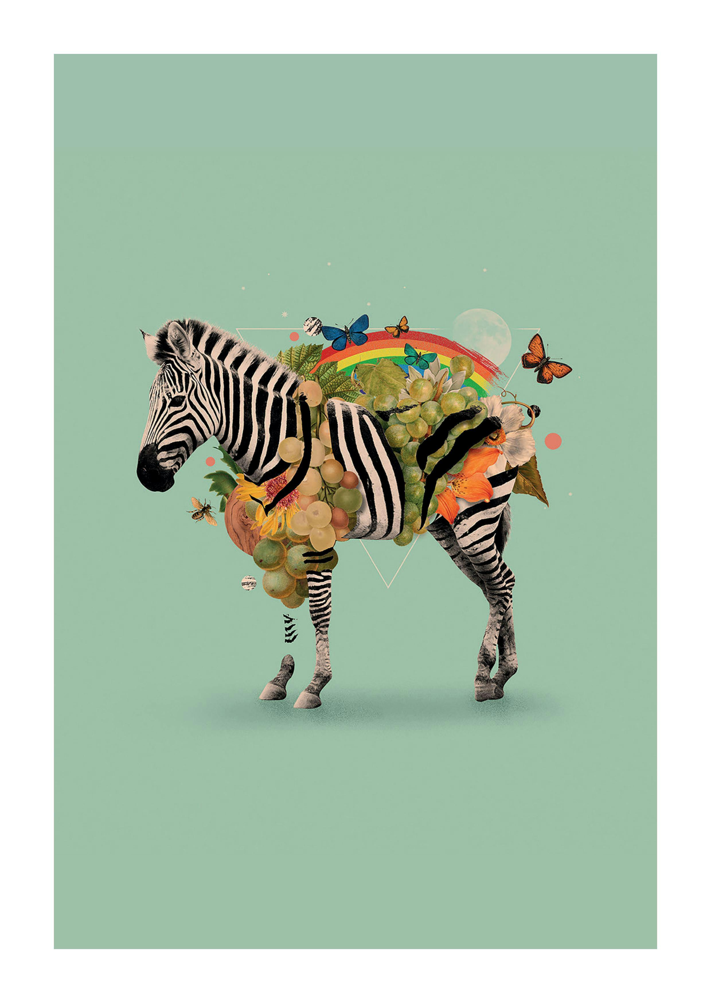 Kaartje Zebra