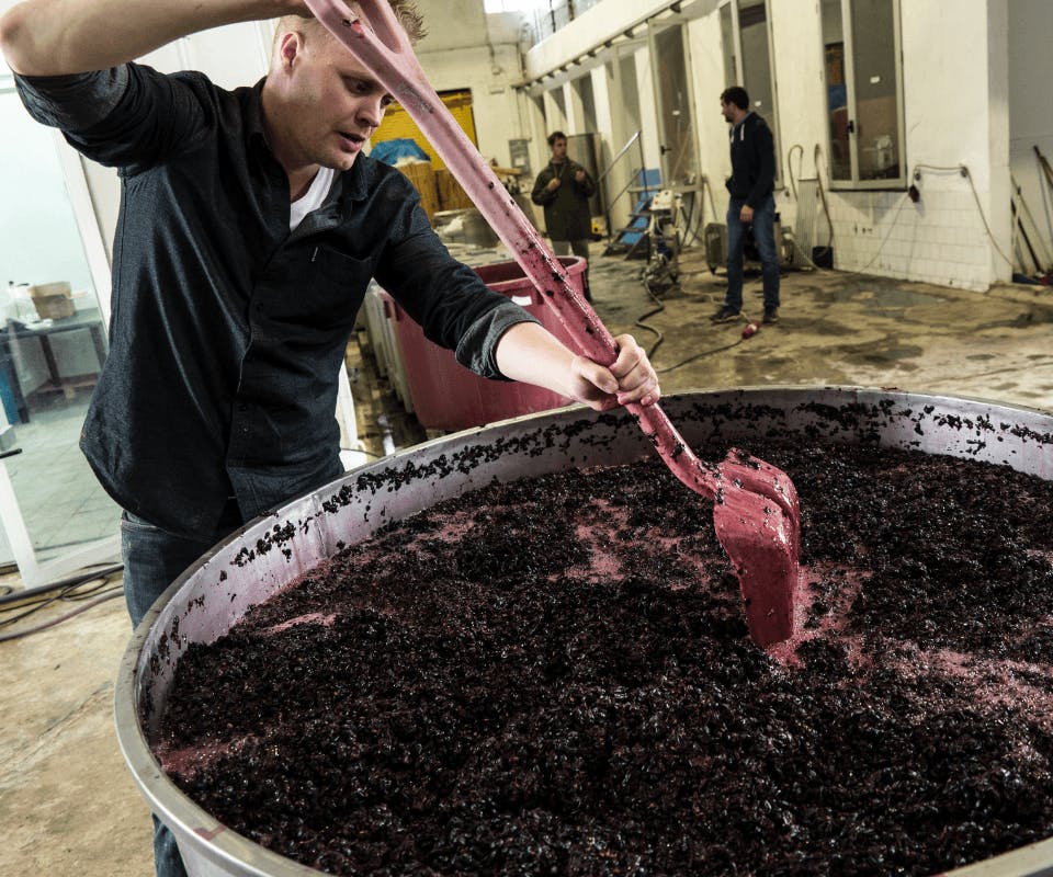 De lol van wijn blenden voor wijnmakers