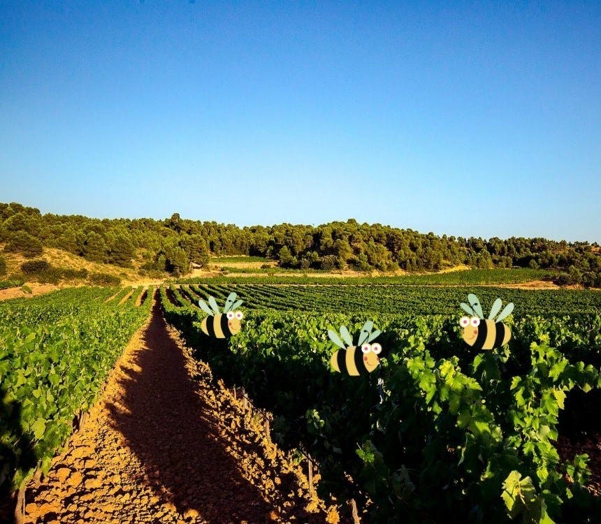 Nationale Bijentelling 15 - 16 april 2023