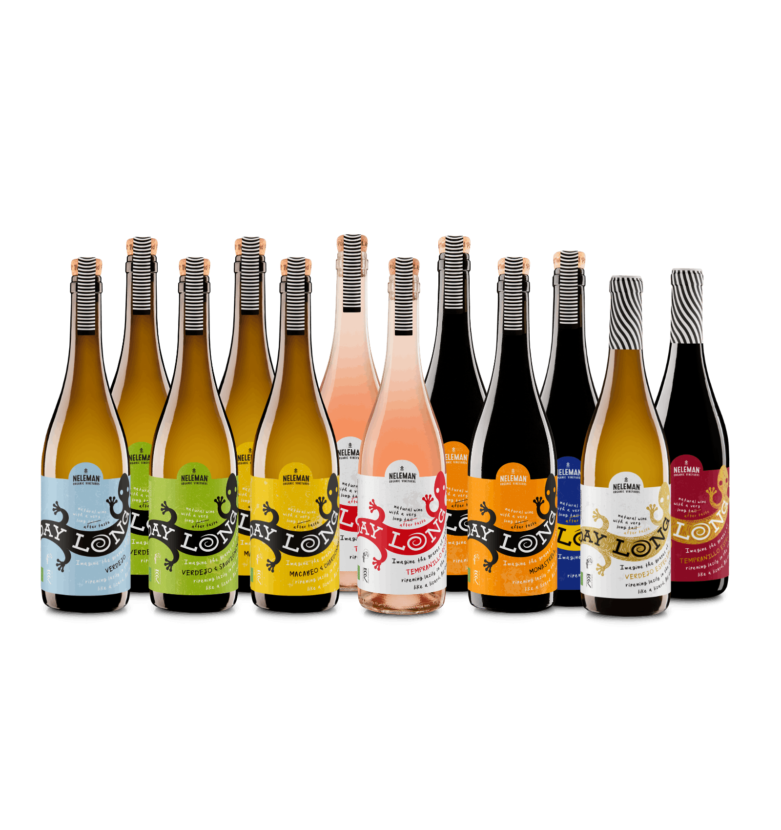 All Day Long Wijnpakket Organic