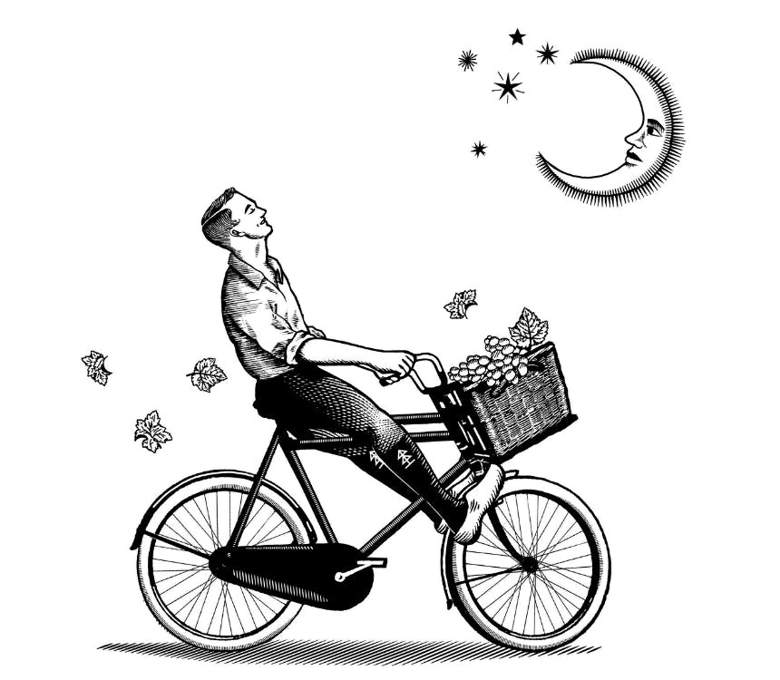 DRUIVEN OOGSTEN IN DE NACHT