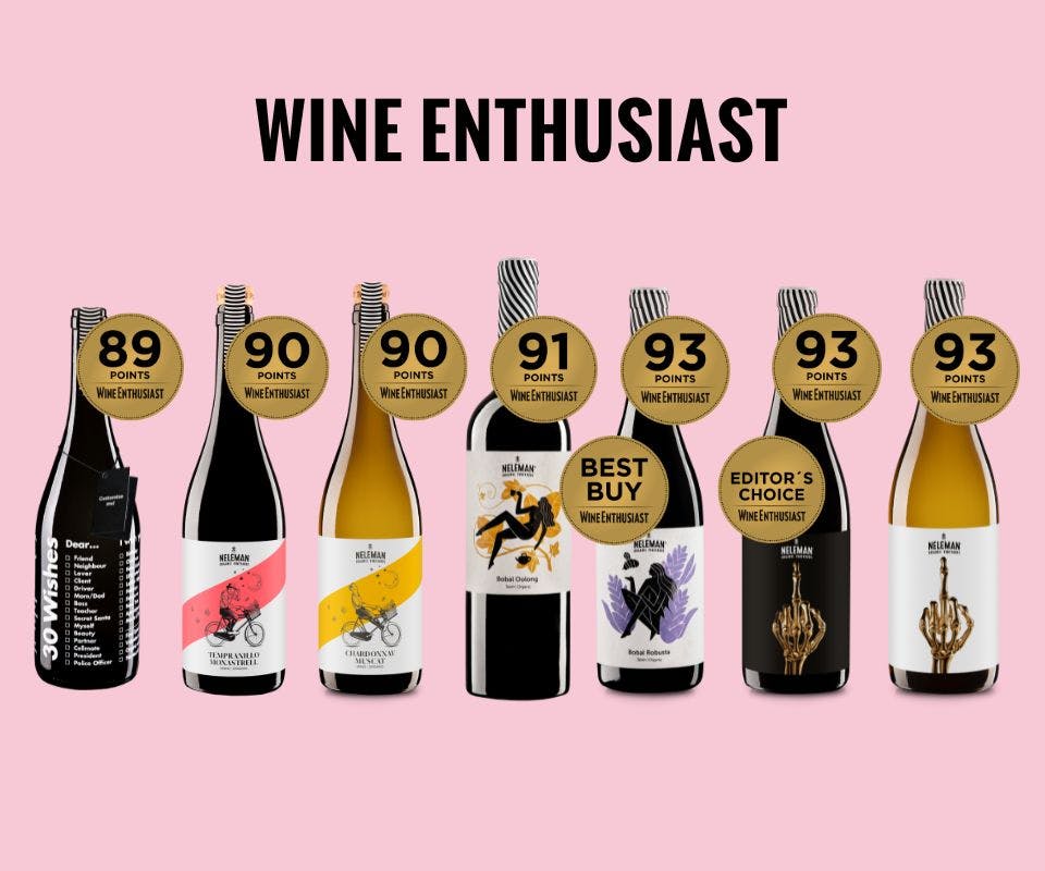 Uitmuntendheid herkend door The Wine Enthusiast