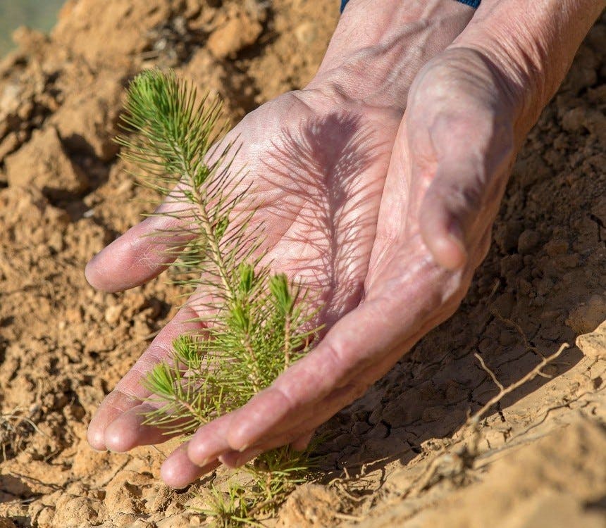 Wijnboer aan het woord: Levende wijn