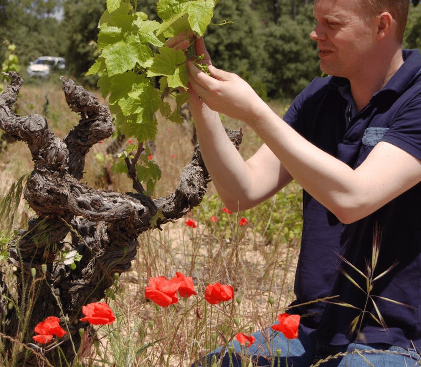 Erfgoed oude wijngaarden