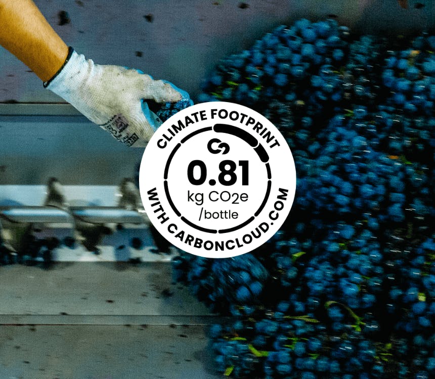 Wijnboer aan het woord: Carbon footprint