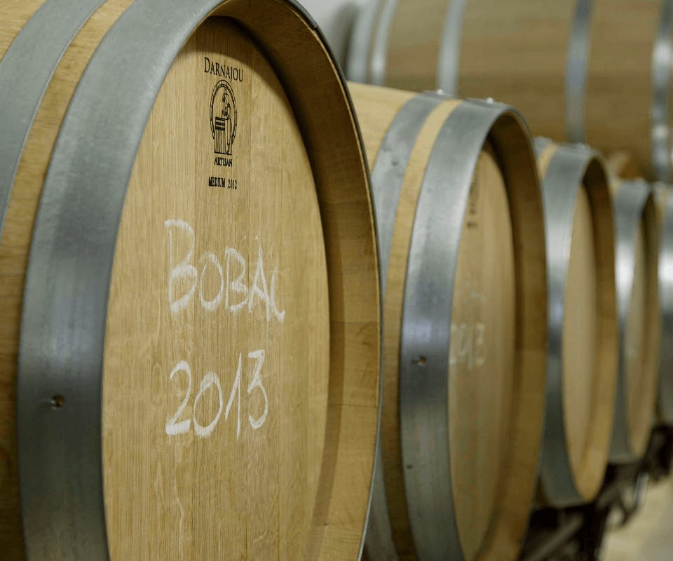 Hoe wijn in eikenhouten vaten terechtkwam