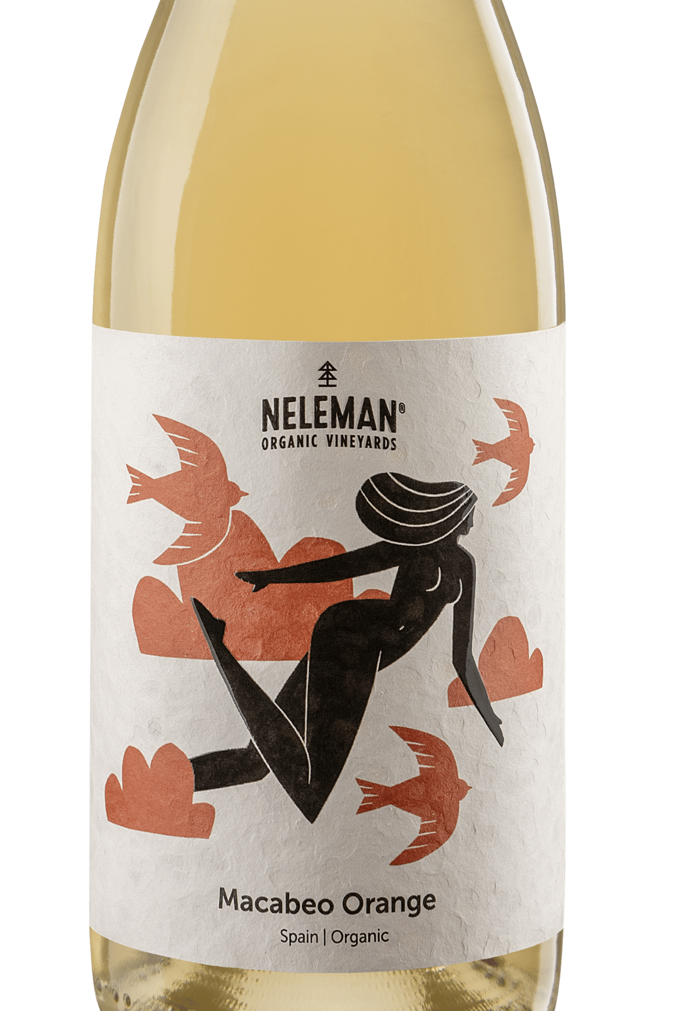 Casas del Rey Macabeo Orange Organic