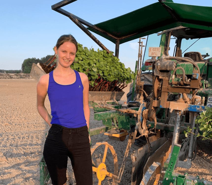 Een dag in de wijngaard in Valencia