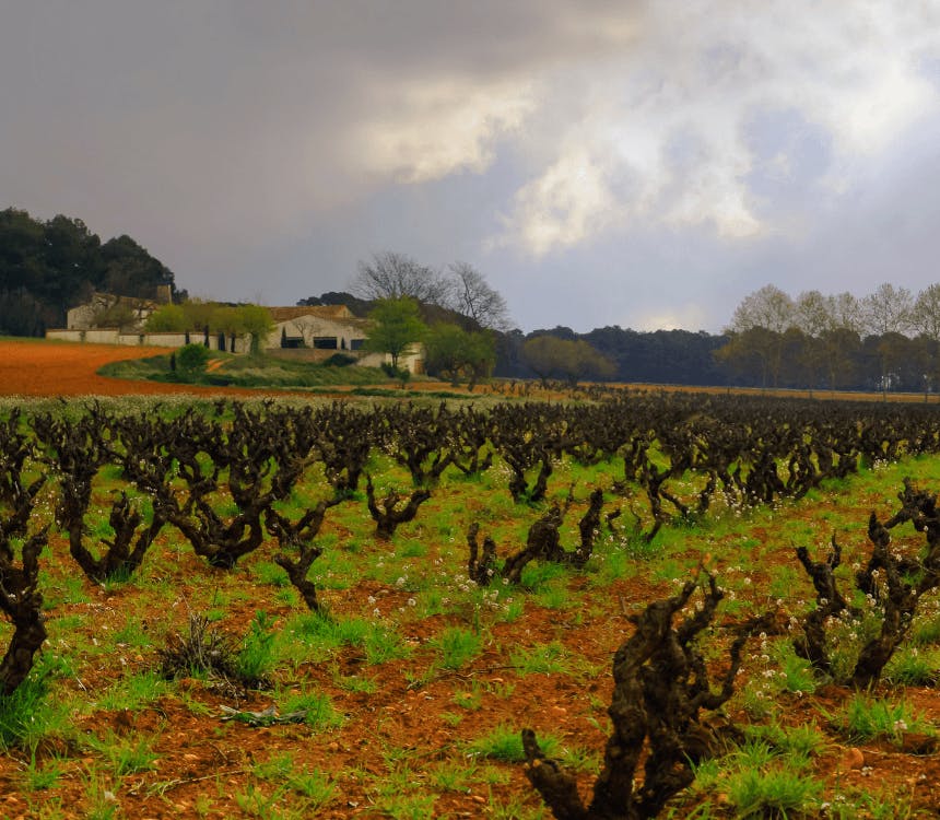 Biodiversiteit, wat is het nou eigenlijk?