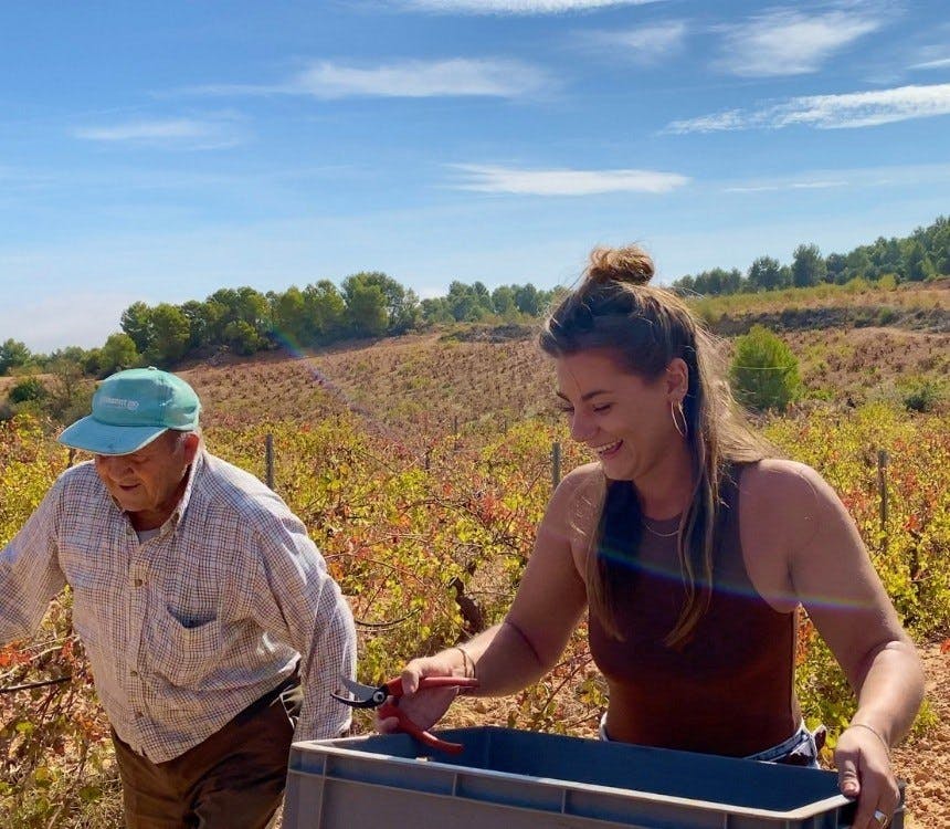 Oogst 2020: een vrolijke terugblik