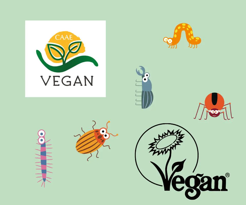 Vegan wijn vs. gewone wijn: wat is het verschil?
