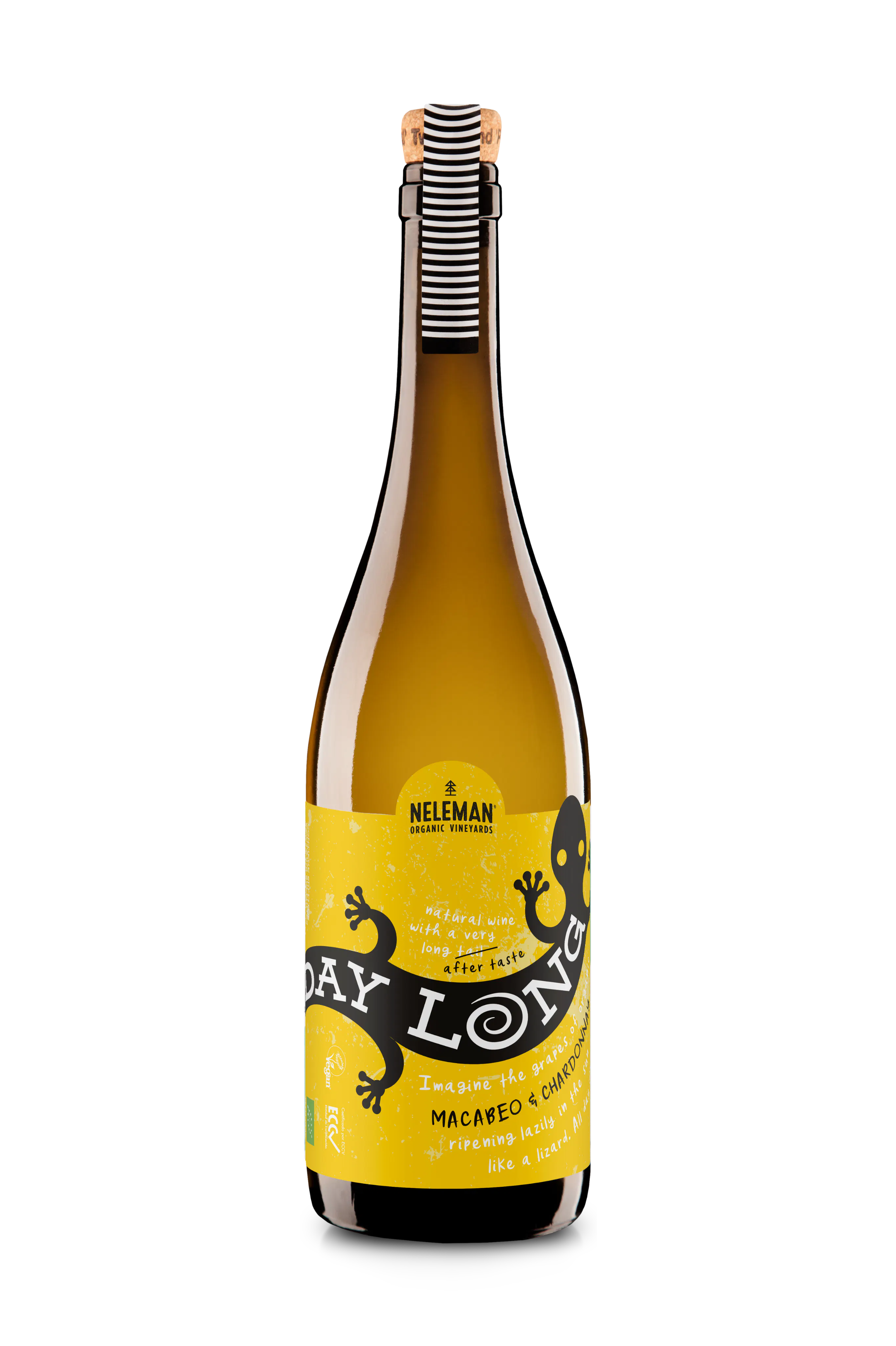 All Day Long Macabeo Chardonnay Organic