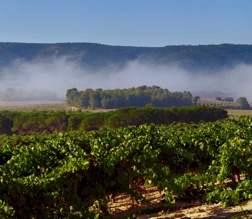 En toen hagelde het ineens pingpongballen