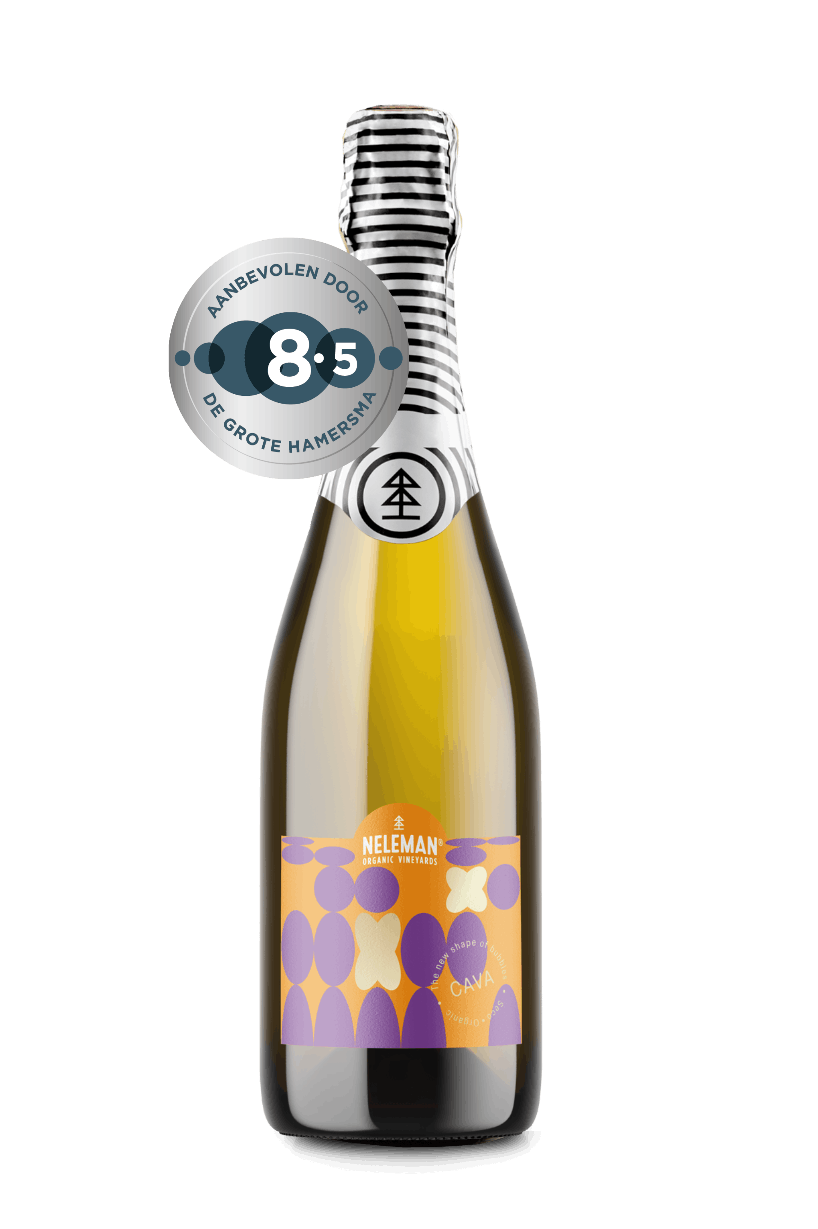 Cava Seco Macabeo Chardonnay Organic