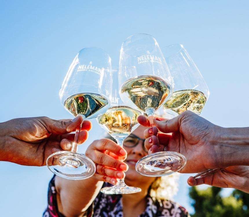 Wijnboer Neleman vestigt record met sharefunding