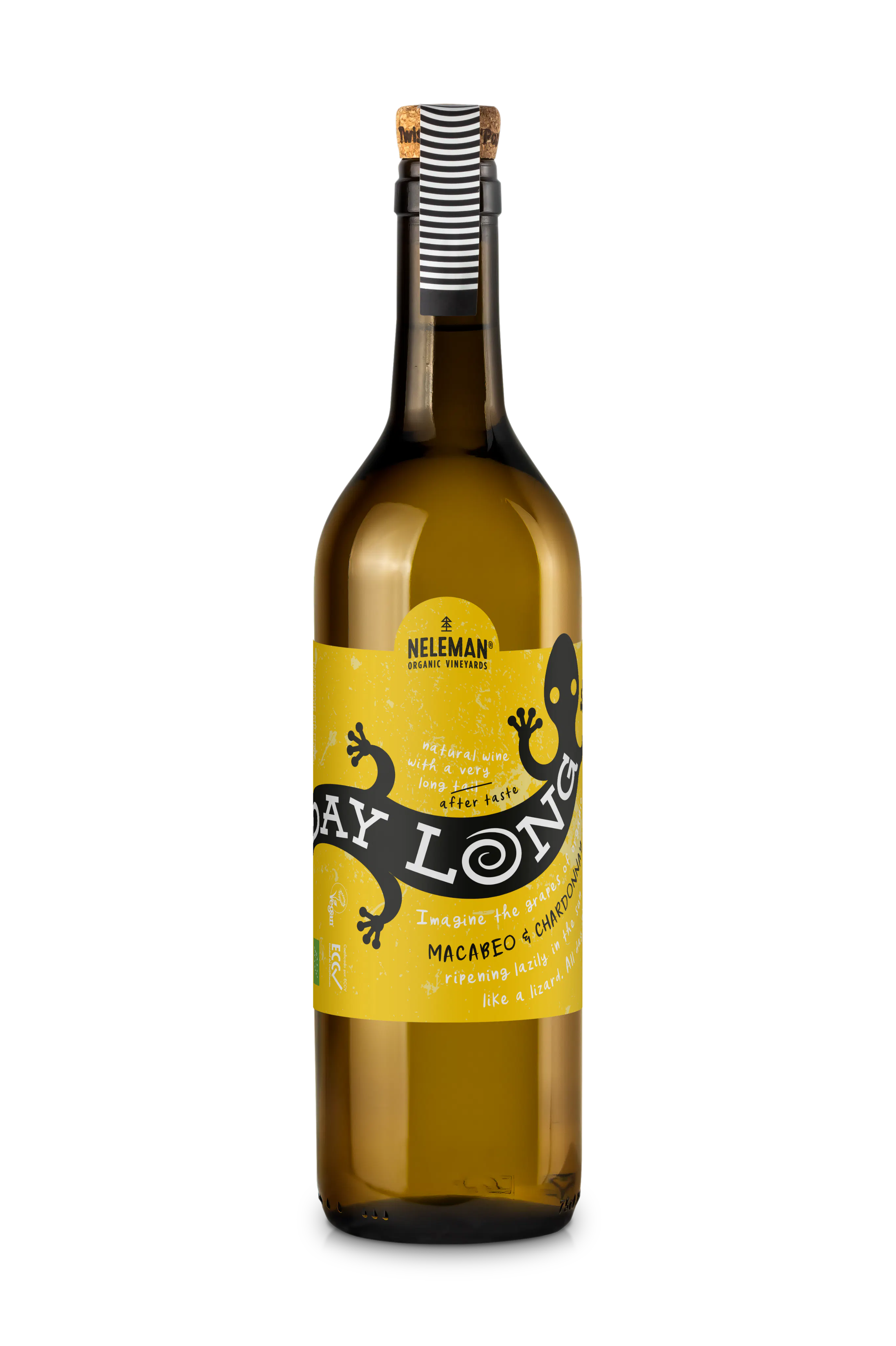 All Day Long Macabeo Chardonnay Organic