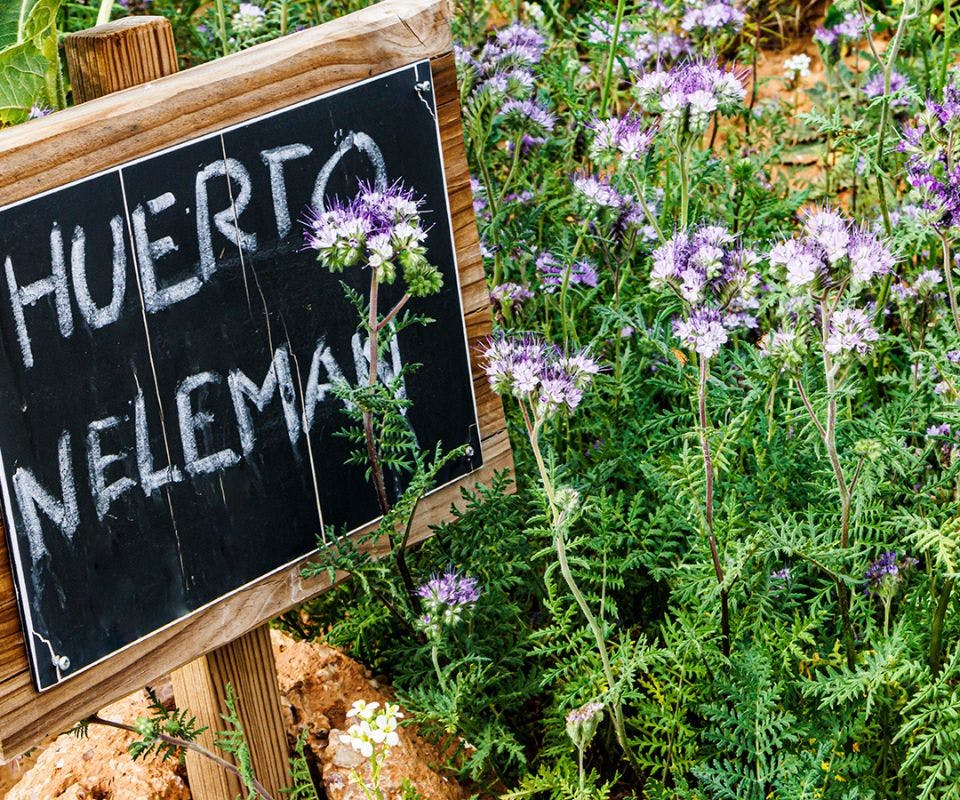 Waarom zou je kiezen voor biologische wijn?